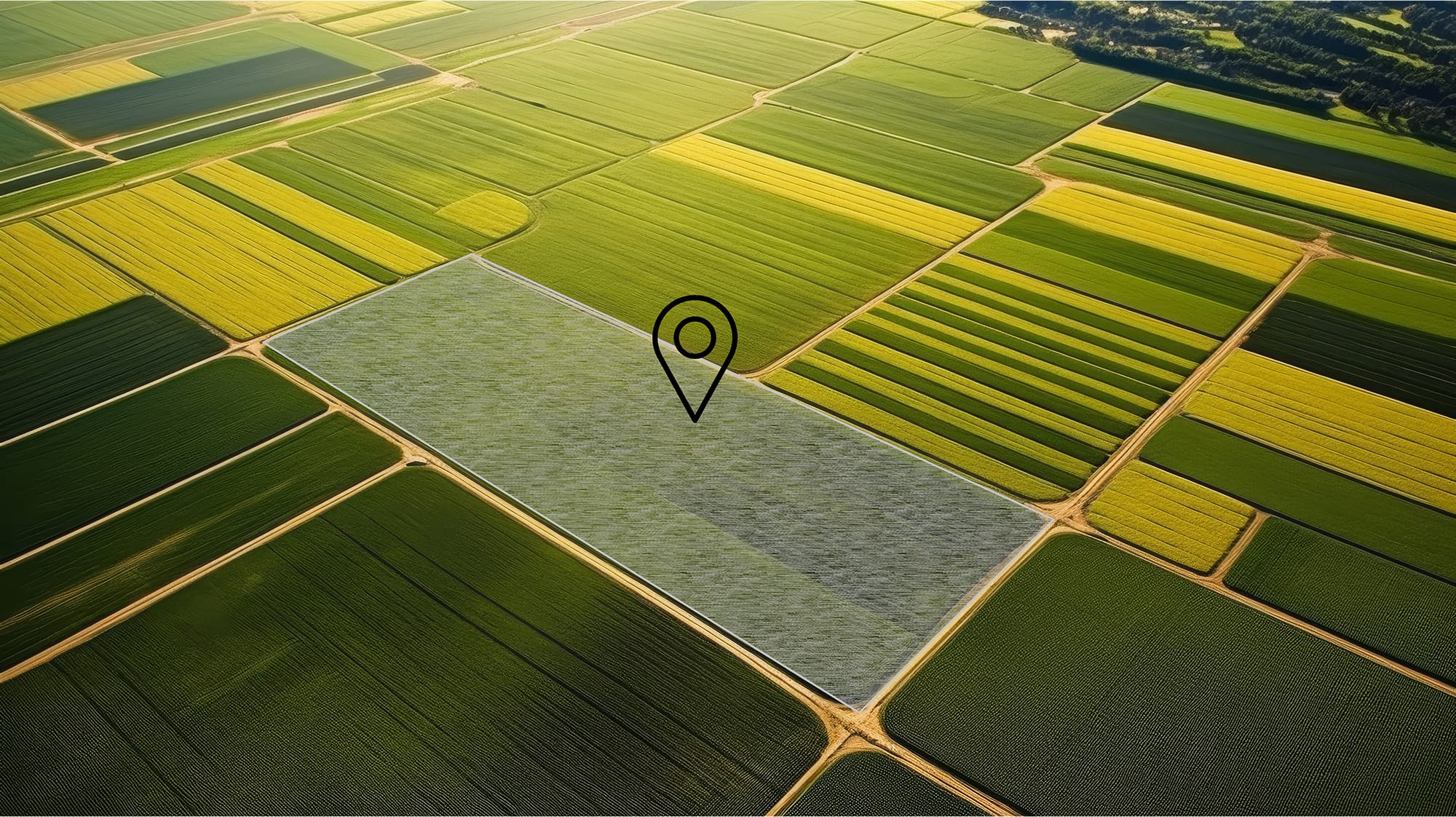 Υπηρεσίες ΟΣΔΕ